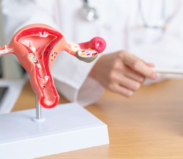 gynaecologist explains hysterectomy using model uterus